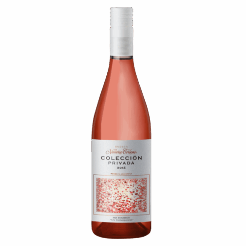 Navarro Correa Rose