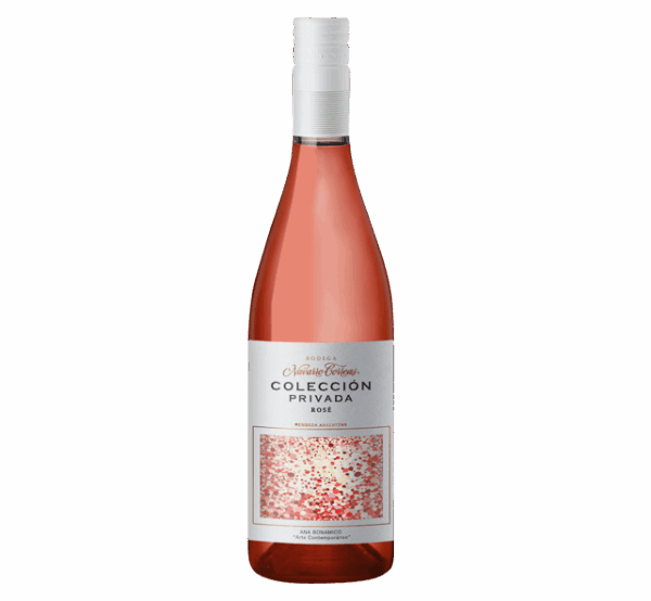 Navarro Correa Rose